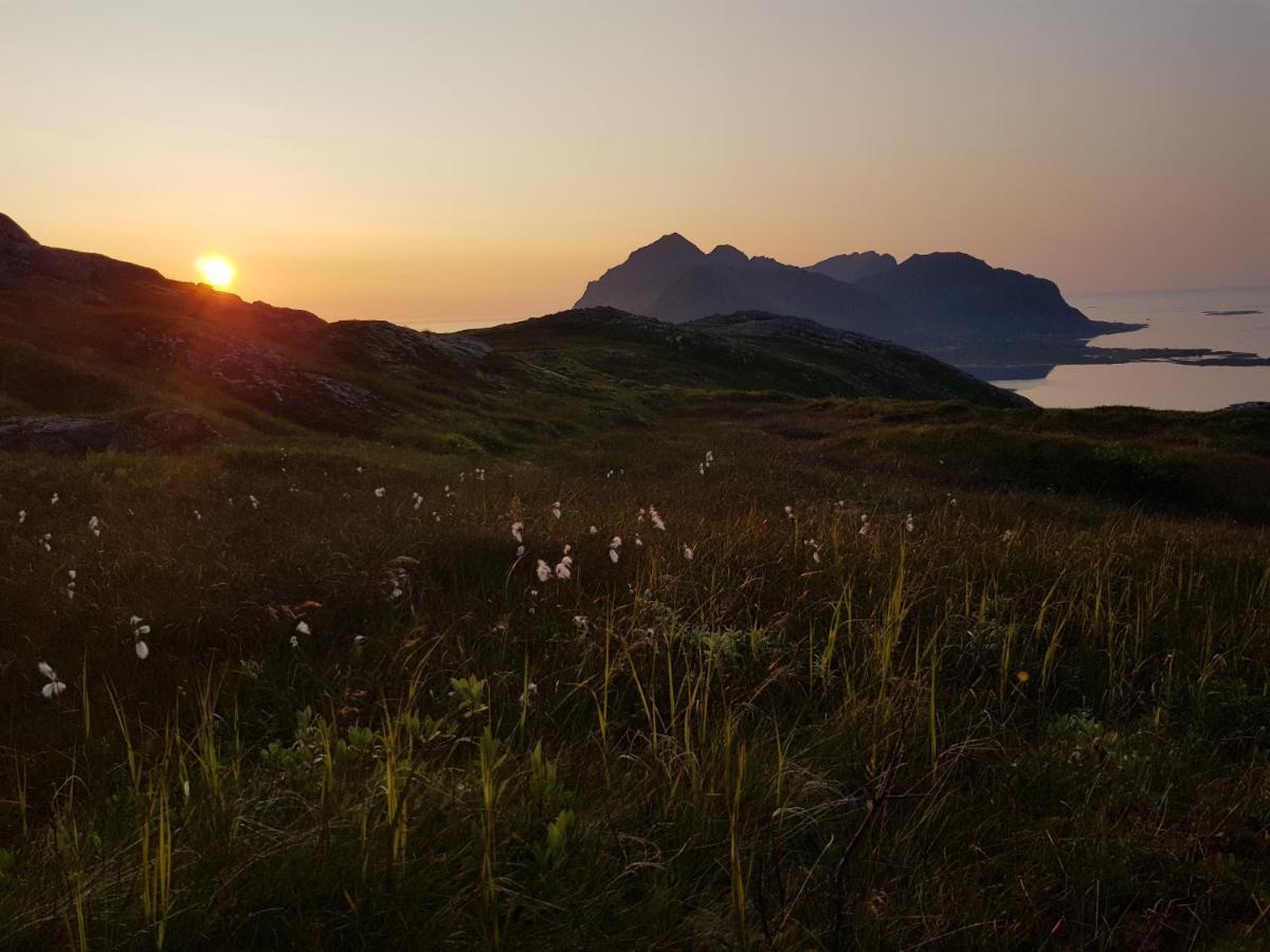 Villa Walter Lofoten With Sauna Kvalnes  ภายนอก รูปภาพ