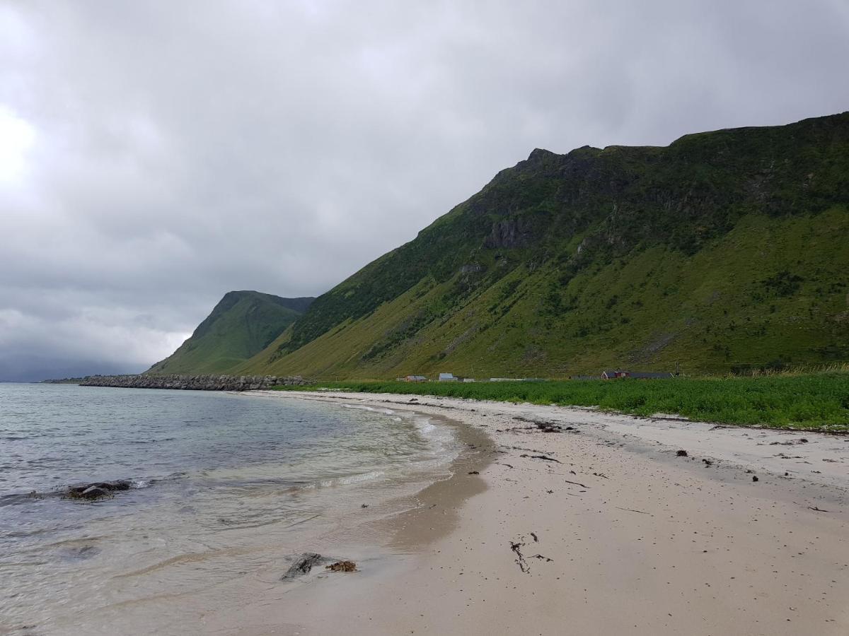 Villa Walter Lofoten With Sauna Kvalnes  ภายนอก รูปภาพ