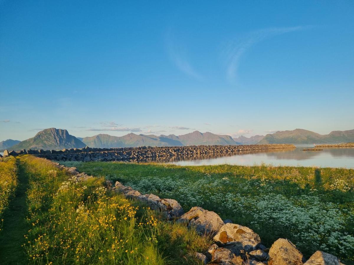 Villa Walter Lofoten With Sauna Kvalnes  ภายนอก รูปภาพ