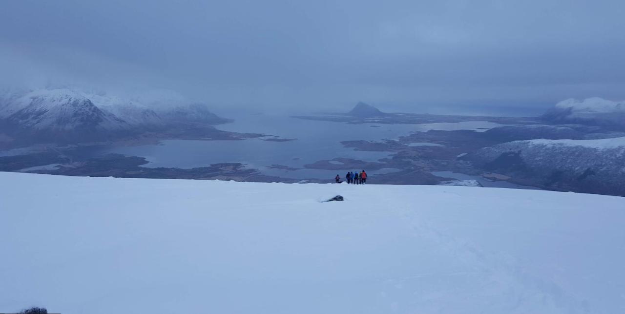 Villa Walter Lofoten With Sauna Kvalnes  ภายนอก รูปภาพ