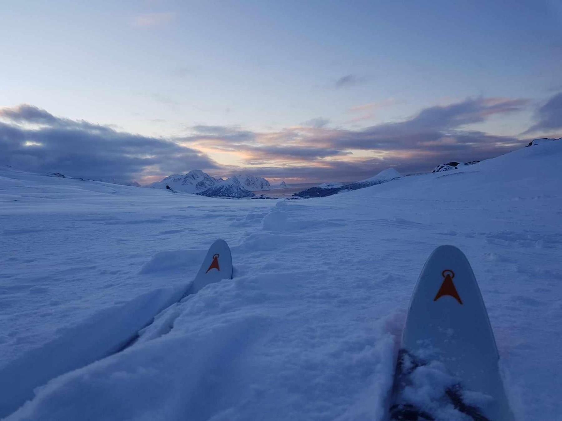 Villa Walter Lofoten With Sauna Kvalnes  ภายนอก รูปภาพ